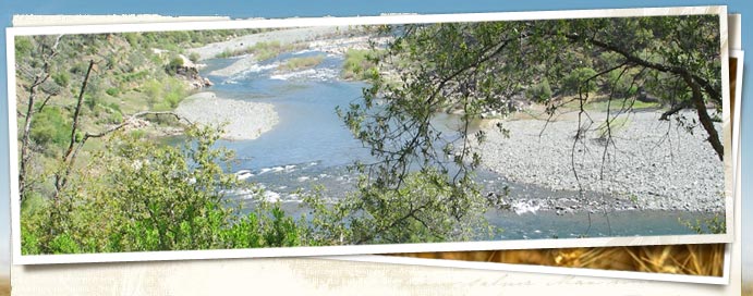 Bettencourt Preserve
