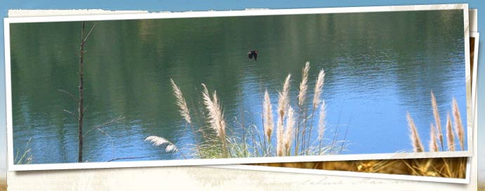 Columbia Wetlands Preserve