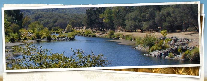 Garden Bar Preserve