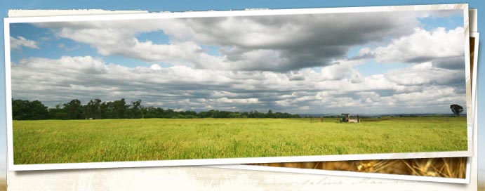 Placer Land Trust