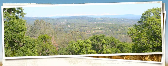 Kotomyan Big Hill Preserve