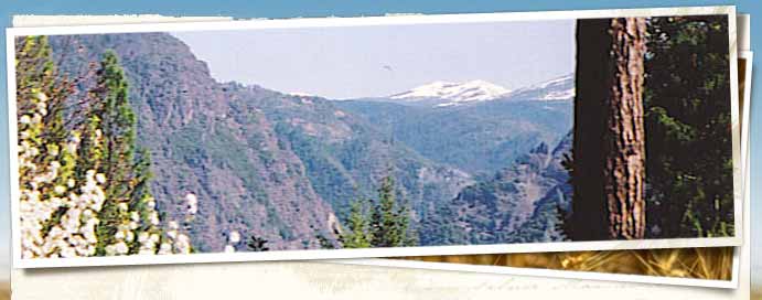 Placer Land Trust