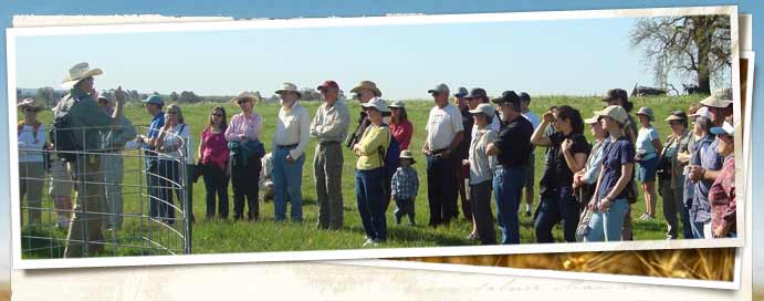 Swainson's Grassland Preserve