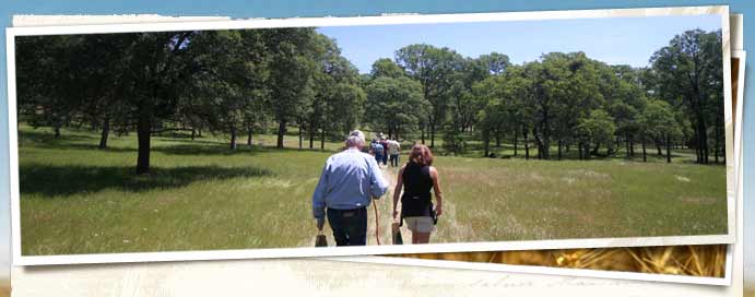 Taylor Ranch Preserve