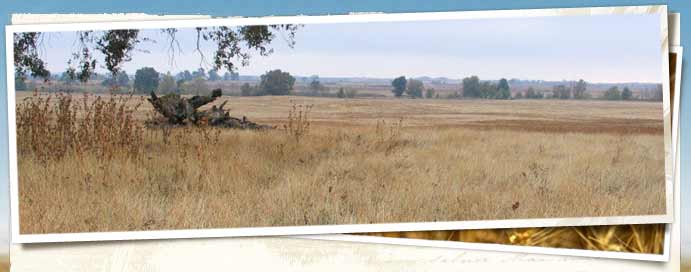 Toad Hill Ranch Preserve