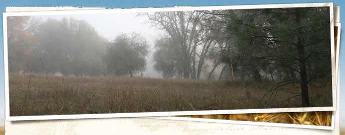 Warren Preserve