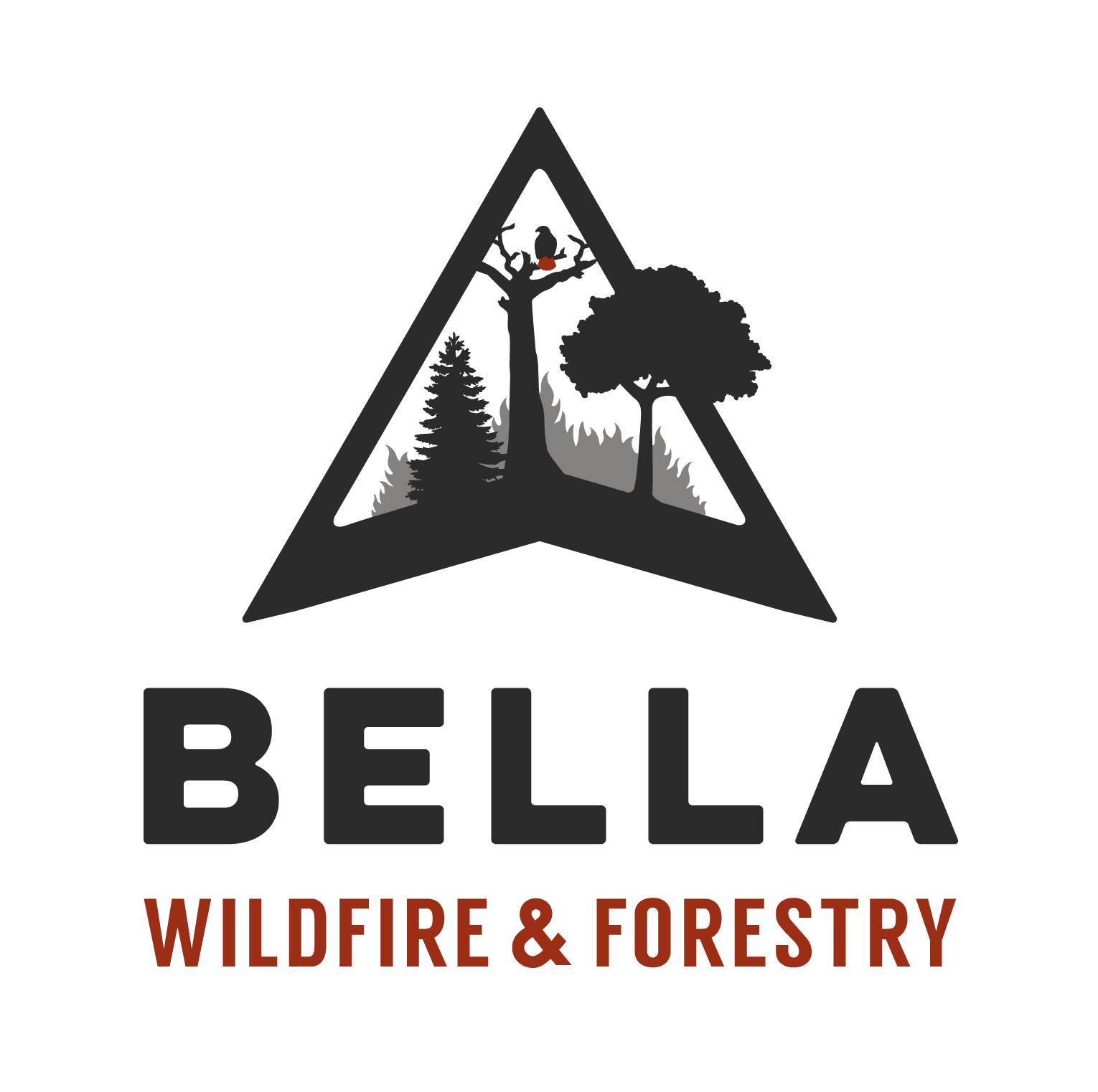 Bella Wildfire & Forestry